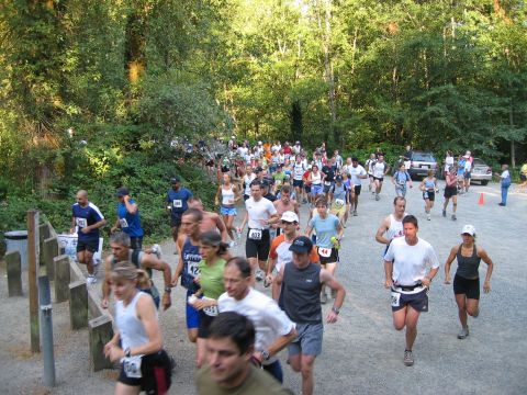 photo from the 13-mile race