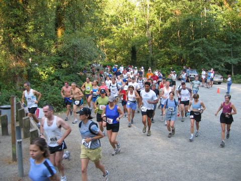 photo from the 13-mile race